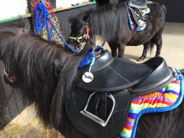  ¡El Pony Club en Wellsfield Farm! 