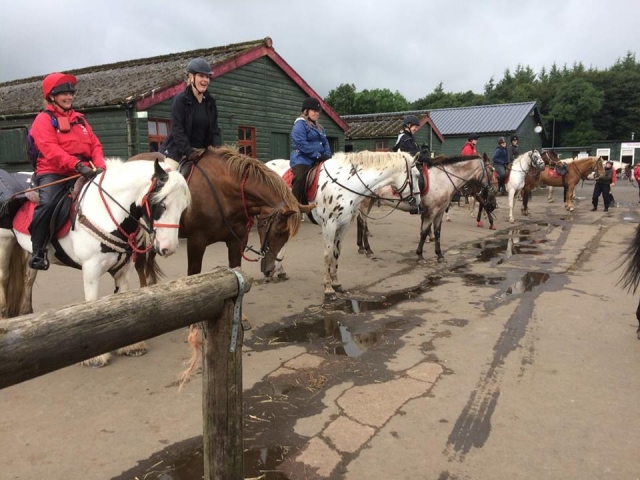  ¡Prueba con Scottish Equestrian Hotel!