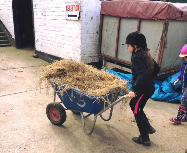  The Pony Club en Faughanvale Stables 