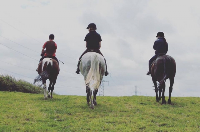  Hacking con Laurel View Equestrian Center 