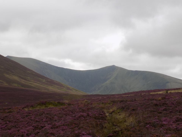  ¡Visile Snowdonia Riding Stables! 