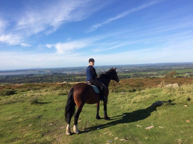  Trekking abierto con las caballerizas de Snowdonia 