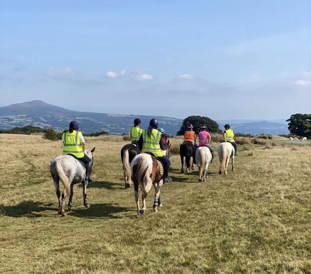  Pbaños a caballo en Powys 