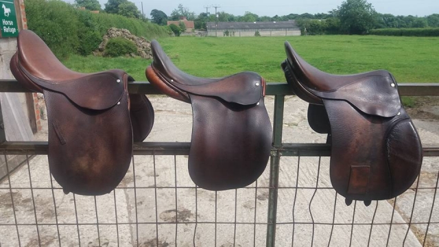  ¡Caballo de silla! 