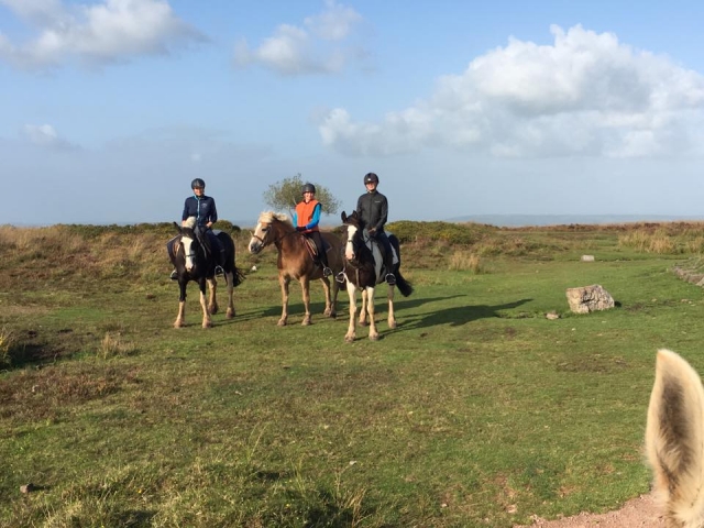 Trekking en grupo en Tynings