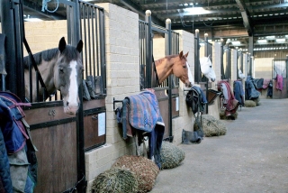 Bury Farm Equestrian Centre