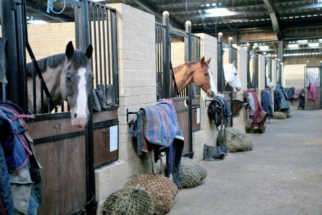Bury Farm Equestrian Centre
