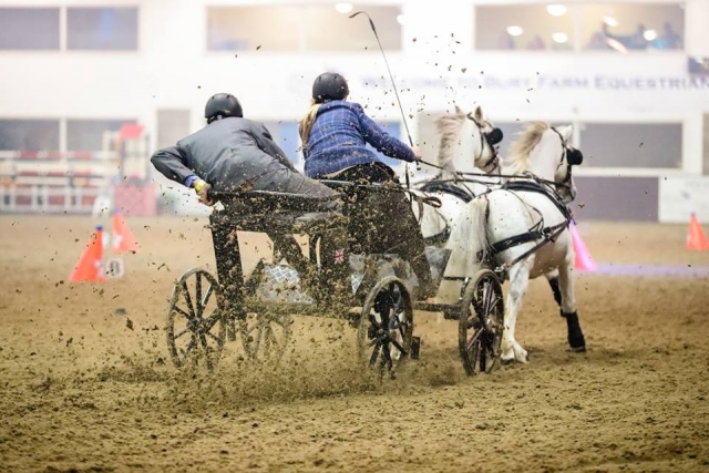  Competencias de alto nivel en Bury Farm Equestrian Center 