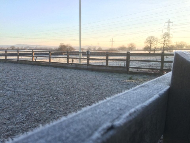  ¡Una mañana fresca! 