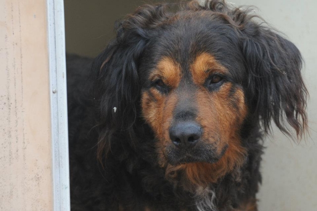  ¡Venga a conocer a Scampie! 