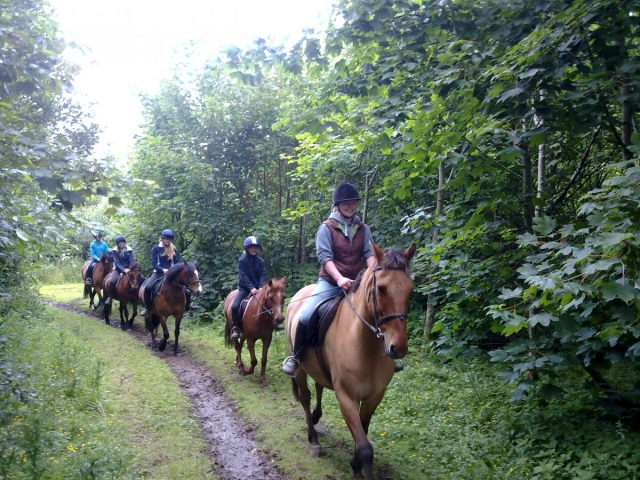  Disfruta del hermoso paisaje. 