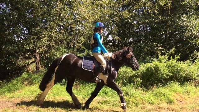  Hacking en el campo 