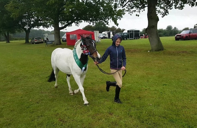  Hackeo al aire libre. 