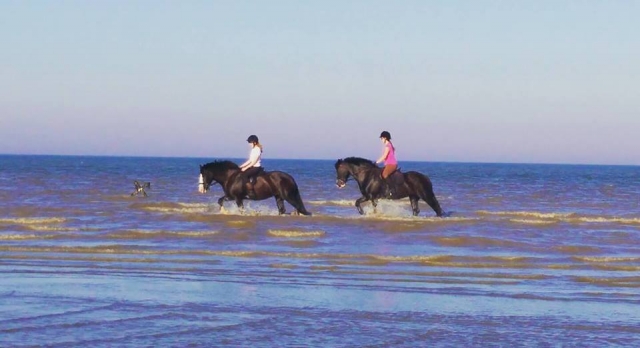 Bursted Manor Riding Centre