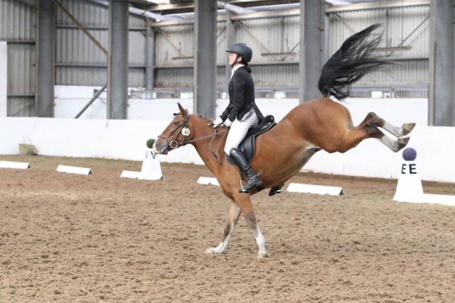  Doma en el Centro Ecuestre Quob Stables 