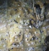  Tenemos una variedad de paredes de escalada creativa 