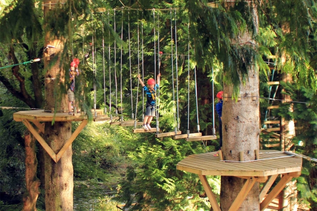  Actividades escolares 