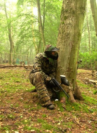  Proporcionamos todo el equipo que necesitará 