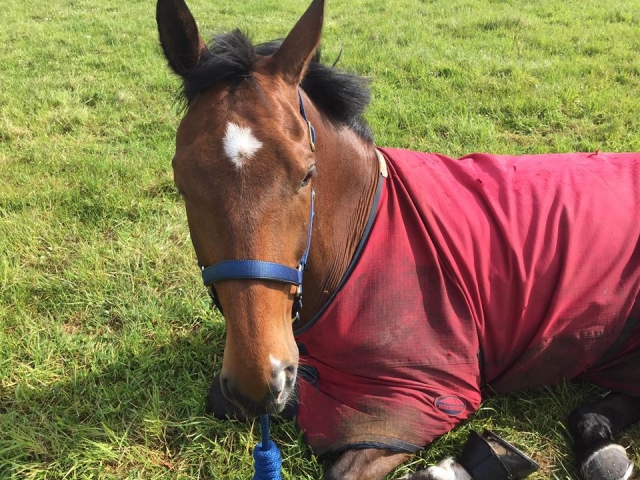  ¡Conócenos a todos en Aberdeen Riding Club! 