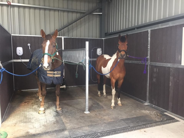  Aseo en Aberdeen Riding Club 