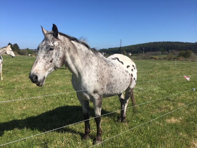  ¡Conócenos a todos!