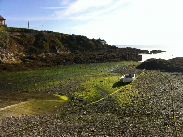  La costa