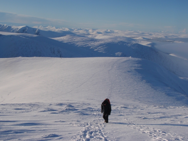 Increíbles caminamarras