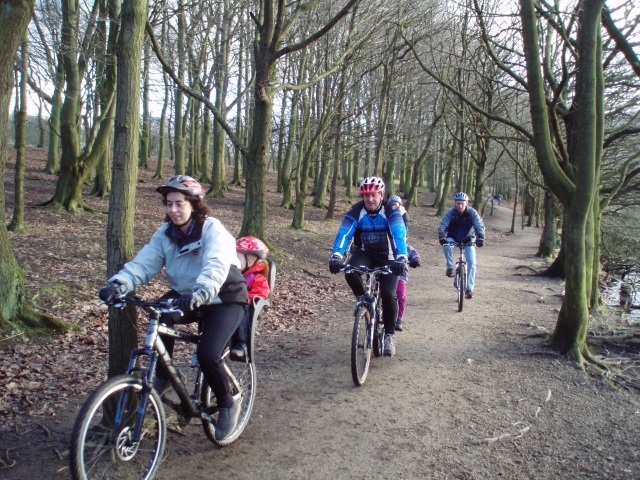 Disfruta de un crucero por los bosques