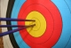 Silver Arrow Archery