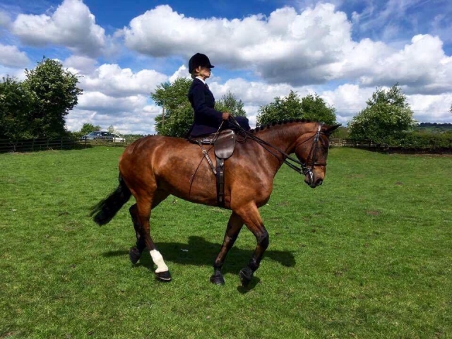 Acrecliffe Equestrian Centre