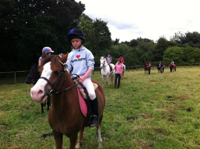  Hackeo en el Centro Ecuestre de Acrecliffe 