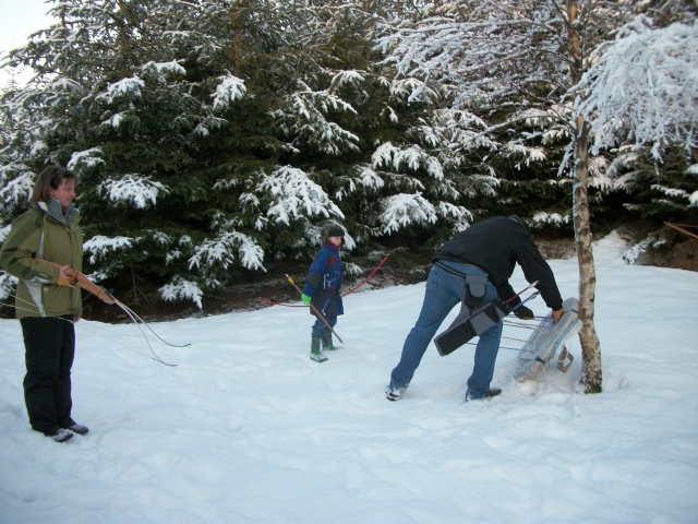 Todo el tiempo en el bosque 