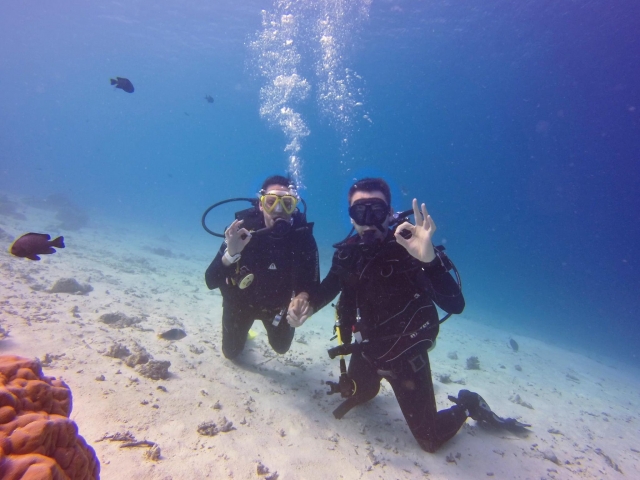 Disfruta de un día bajo el agua 