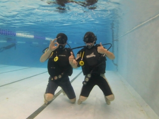 Oyster Diving