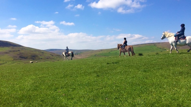  Open Trekking con Freerein Riding Holidays 