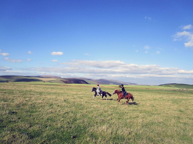  Open Trekking con Freerein Riding Holidays 