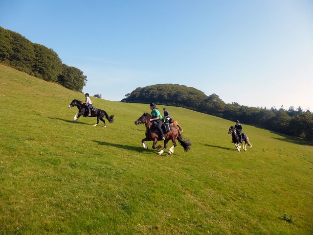  Esquí de fondo con Freerein Riding Holidays 