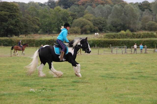  Hacking con Valleyfarm 