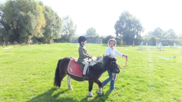  Lecciones para principiantes en Valleyfarm 