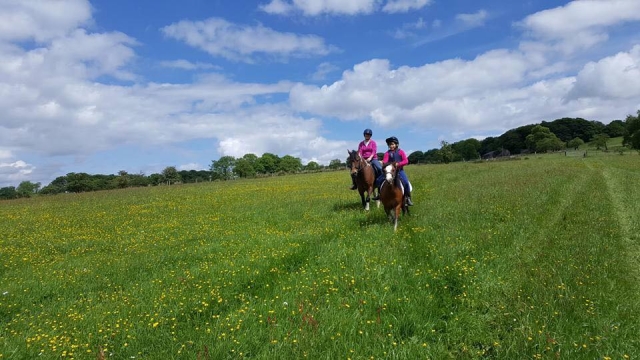  Hackear con Fairboroughs Horse Riding Holidays 