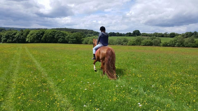  Hackear con Fairboroughs Horse Riding Holidays 