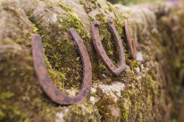  Disfrule del paisaje de Fairboroughs Horse Riding Holidays