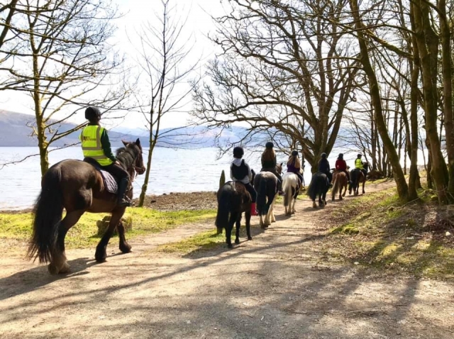  Caballos y jinetes dando un agradable paseo por el lago 