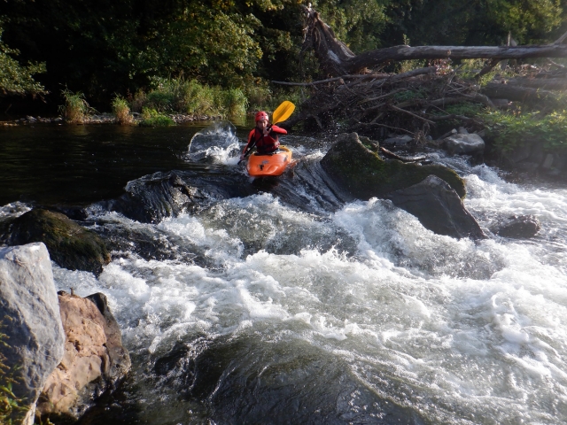  Rapids 