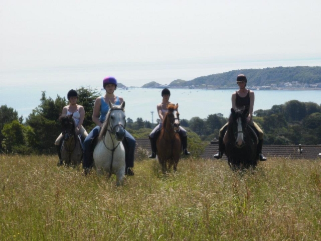 Hackear con Clyne Farm Center Horse Riding 