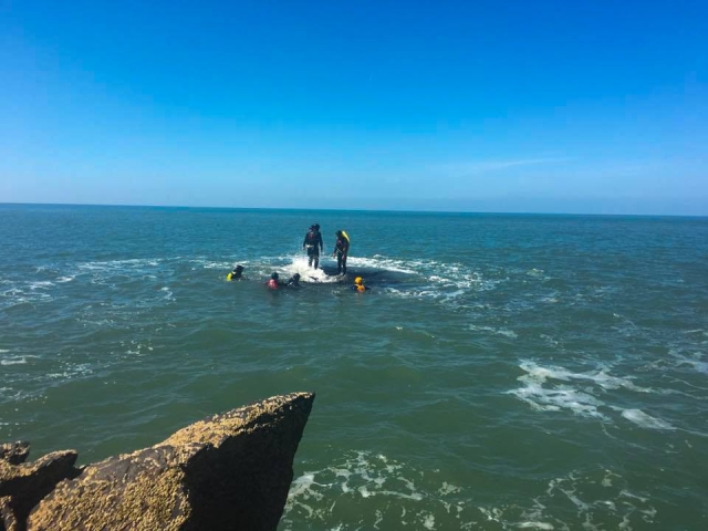  Coasteering Adventures 