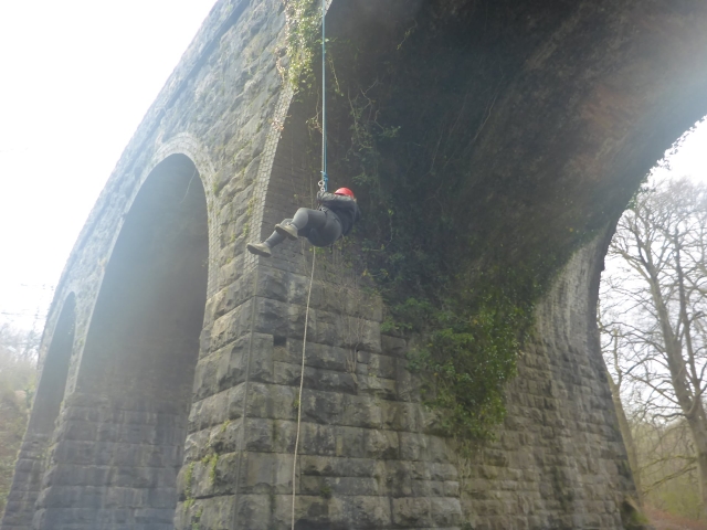 Diferentes escenarios 