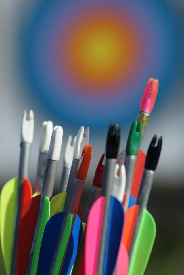  Únase a nosotros por un día de jalo con arco en Skern Lodge en Appledore 