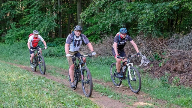  Excursiones en bicicleta de cerro 
