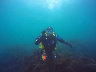 Lutterworth Sub Aqua Club